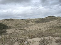 F, Pas-de-Calais, Wimereux, Dunes de la Slack 1, Saxifraga-Willem van Kruijsbergen