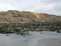 F, Pas-de-Calais, Wimereux, Dunes de la Slack 16, Saxifraga-Willem van Kruijsbergen