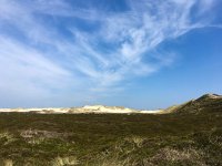 D, Schleswig-Holstein, List, Sueder Strandtal 1, Saxifraga-Bart Vastenhouw