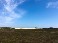 D, Schleswig-Holstein, List, Sueder Strandtal 2, Saxifraga-Bart Vastenhouw