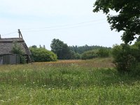 LV, Kurzeme, Rucava, Dabas parks Pape 105, Saxifraga-Hans Boll