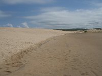 P, Faro, Aljezur, Carrapateira, Praia da Bordeira 16, Saxifraga-Willem van Kruijsbergen