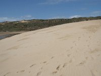 P, Faro, Aljezur, Carrapateira, Praia da Bordeira 17, Saxifraga-Willem van Kruijsbergen