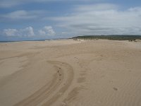 P, Faro, Aljezur, Carrapateira, Praia da Bordeira 19, Saxifraga-Willem van Kruijsbergen