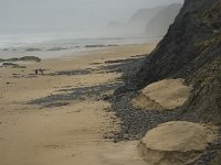 P, Faro, Vila do Bispo, Praia do Cordoama 2, Saxifraga-Jan van der Straaten