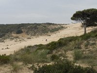 E, Cadiz, Tarifa, Bolonia, Duna de Bolonia 1, Saxifraga-Willem van Kruijsbergen