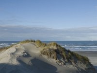 NL, Friesland, Terschelling, Boschplaat 16, Saxifraga-Jan van der Straaten