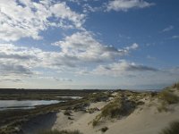 NL, Friesland, Terschelling, Boschplaat 7, Saxifraga-Jan van der Straaten