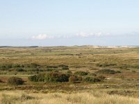 NL, Friesland, Terschelling, Parapluieduin 1, Saxifraga-Hans Boll