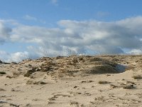 NL, Noord-Brabant, Heusden, Loonse en Drunense Duinen 135, Saxifraga-Willem van Kruijsbergen