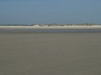 NL, Noord-Holland, Texel, De Hors 26, Saxifraga-Willem van Kruijsbergen