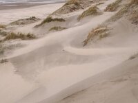 NL, Noord-Holland, Texel, Paal 10 5, Saxifraga-Foto Fitis-Sytske Dijksen