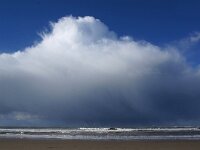 NL, Noord-Holland, Texel, Paal 12 1, Saxifraga-Foto Fitis-Sytske Dijksen