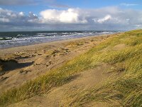 NL, Noord-Holland, Texel, Paal 12 12, Saxifraga-Foto Fitis-Sytske Dijksen