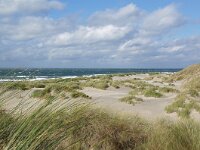 NL, Noord-Holland, Texel, Paal 8 20, Saxifraga-Foto Fitis-Sytske Dijksen