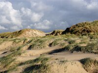 NL, Noord-Holland, Texel, Paal 8 29, Saxifraga-Foto Fitis-Sytske Dijksen