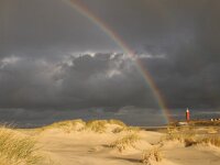 NL, Noord-Holland, Texel, Vuurtoren 31, Saxifraga-Foto Fitis-Sytske Dijksen
