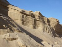 NL, Noord-Holland, Texel, paal 16 2, Saxifraga-Foto Fitis-Sytske Dijksen