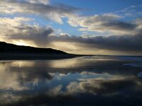 NL, Noord-Holland, Texel, paal 9 22, Saxifraga-Foto Fitis-Sytske Dijksen