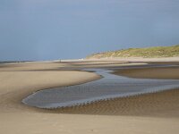 NL, Noord-Holland, Texel, paal 9 23, Saxifraga-Foto Fitis-Sytske Dijksen