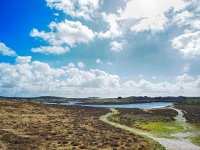 NL, Noord-Holland, Bergen, Schoorl 6, Saxifraga-Dirk Hilbers