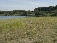 NL, Noord-Holland, Bloemendaal, Zuid Kennemerland 5, Saxifraga-Willem van Kruijsbergen