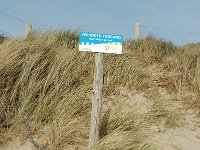 NL, Noord-Holland, Castricum, Noord-Hollands Duinreservaat, Castricum aan Zee 1, Saxifraga-Jan van der Straaten