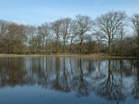 NL, Noord-Holland, Castricum, Noord-Hollands Duinreservaat, Schapenweg 3, Saxifraga-Jan van der Straaten