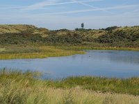 NL, Noord-Holland, Haarlem, Kennemerduinen 4, Foto Fitis-Sytske Dijksen