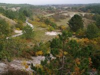 NL, Noord-Holland, Schoorl 1, Foto Fitis-Sytske Dijksen