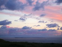 NL, Noord-Holland, Texel 1, Saxifraga-Bart Vastenhouw.jpg