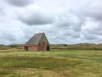 NL, Noord-Holland, Texel 41, Saxifraga-Bart Vastenhouw - kopie