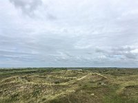 NL, Noord-Holland, Texel 49, Saxifraga-Bart Vastenhouw - kopie