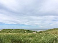 NL, Noord-Holland, Texel 9, Saxifraga-Bart Vastenhouw - kopie