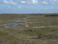 NL, Noord-Holland, Texel, Bertusnol 11, Saxifraga-Willem van Kruijsbergen