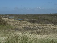 NL, Noord-Holland, Texel, Bertusnol 3, Saxifraga-Willem van Kruijsbergen