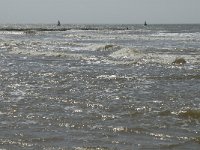 NL, Noord-Holland, Texel, Bollekamer 11, Saxifraga-Jan van der Straaten