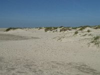 NL, Noord-Holland, Texel, De Hors 17, Saxifraga-Willem van Kruijsbergen