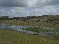 NL, Noord-Holland, Texel, De Muy 19, Saxifraga-Willem van Kruijsbergen