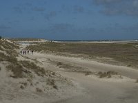 NL, Noord-Holland, Texel, De Slufter 43, Saxifraga-Willem van Kruijsbergen