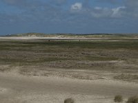 NL, Noord-Holland, Texel, De Slufter 44, Saxifraga-Willem van Kruijsbergen