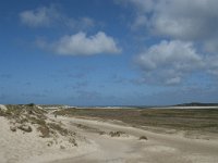 NL, Noord-Holland, Texel, De Slufter 49, Saxifraga-Willem van Kruijsbergen