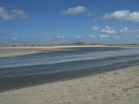 NL, Noord-Holland, Texel, De Slufter 73, Saxifraga-Willem van Kruijsbergen