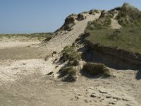 NL, Noord-Holland, Texel, Slufter 38, Saxifraga-Jan van der Straaten