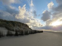 NL, Noord-Holland, Texel, Slufter 42, Saxifraga-Mark Zekhuis