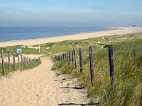 NL, Noord-Holland, Velsen, Duin en Kruidberg 2, Saxifraga-Piet Munsterman