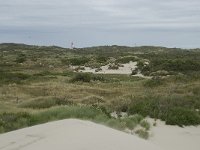 NL, Zeeland, Schouwen-Duiveland, Westenschouwen 1, Saxifraga-Willem van Kruijsbergen