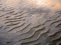 Patterns of sand and water on beach, Haamstede, Zeeland, Netherl  Patterns of sand and water on beach, Haamstede, Zeeland, Netherlands : Dutch, Haamstede, Holland, Netherlands, beach, coast, evening, pattern, rural landscape, sand, sandy, sea, shore, summer, sunset, twilight, warm red, water, wave shaped, Europe, European, natural, nature