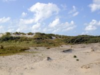 Sand drift in Dutch dunes; Zeeland, Netherlands  Sand drift in Dutch dunes; Zeeland,  Netherlands : Dutch, Haamstede, Holland, Zeeland, Netherlands, dune, sand drift, dunes, nature, natural, nature reserve, rural landscape, sand, sandy, summer, summertime, outside, outdoors, rural scene, non-urban scene, blue sky, white clouds, cloudscape, skyscape, beauty in nature, scenic, Europe, European, Schouwen-Duiveland, nobody no people, forest, woodland