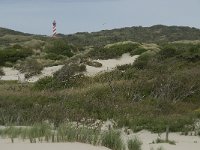 NL, Zeeland, Schouwen-Duiveland, Westenschouwen 4, Saxifraga-Willem van Kruijsbergen